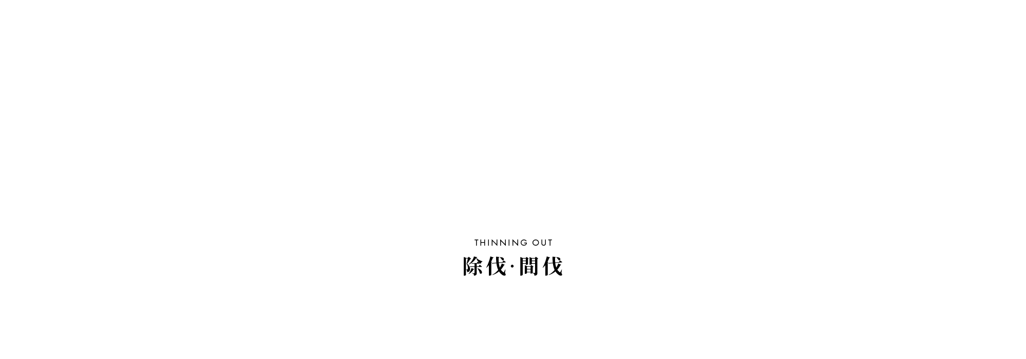 除伐・間伐